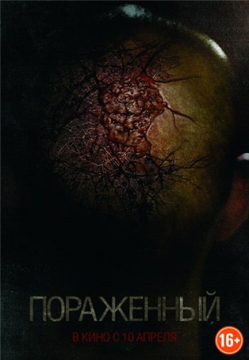  / Afflicted (2013)