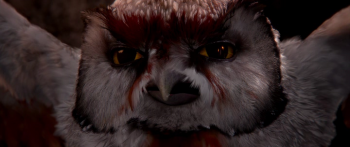    / Legend of the Guardians: The Owls of Ga'Hoole (2010)