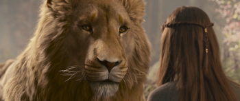  :   / The Chronicles of Narnia: Prince Caspian (2008) BDRip