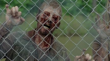   (4 ) / The Walking Dead (2013) BDRip-AVC