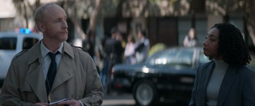  (2025)