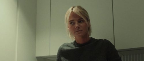   (2025)