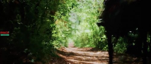 ������ � ���� ������� (2026)