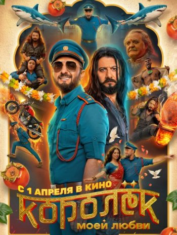 ������ ���� ����� (2026)